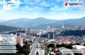 Bilecik Domain Tescil
