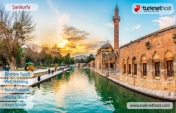 Şanlıurfa Domain Tescil
